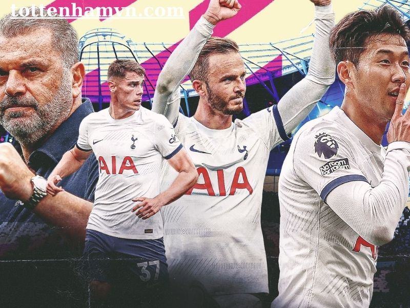 Hội đồng quản trị Tottenham