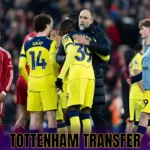 Tottenham Transfer