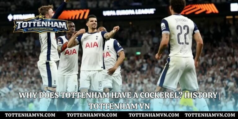 Why Does Tottenham Have a Cockerel? History | Tottenham VN